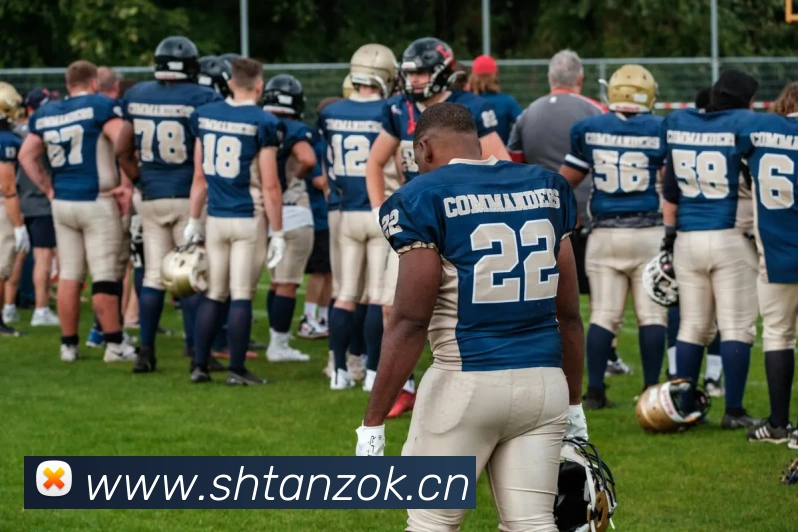 App Interface Preview